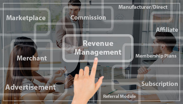 Nlance Revenue Model